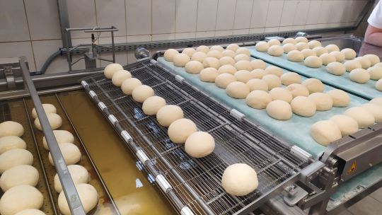 WhatsApp Image 2025-02-03 at 10.33.58(1).jpeg